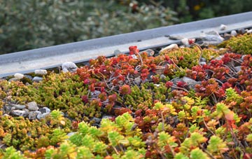 the cost of Butlane Head green roof installation