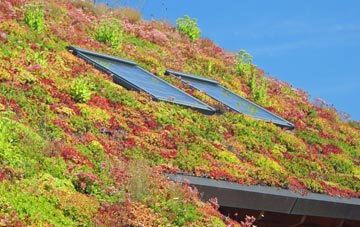 Butlane Head living roof systems