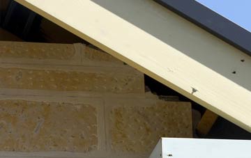 soffit repair Butlane Head